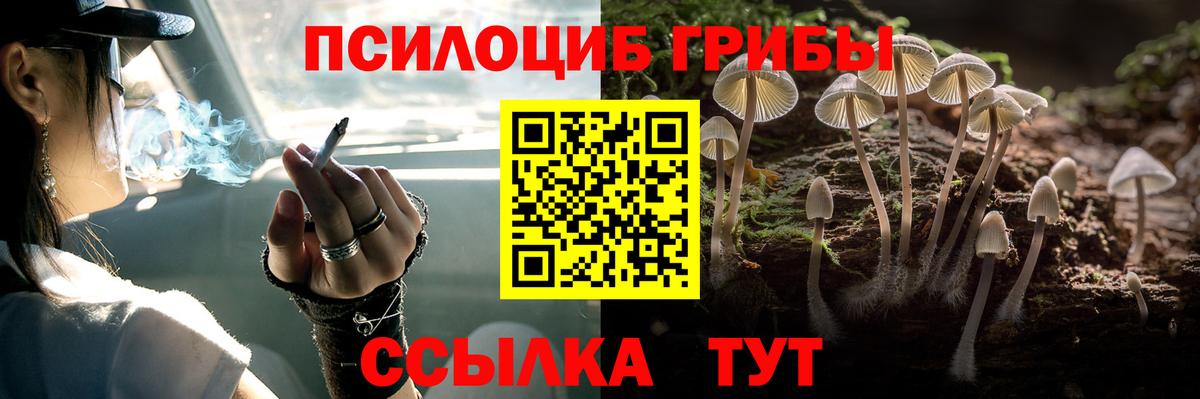 Псилоцибиновые грибы GOLDEN TEACHER  Псилоцибиновые грибы Magic Shrooms  Вход с VPN  Саяногорск 